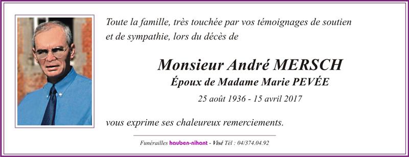 Image Remerciement