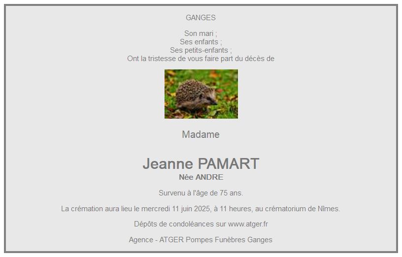 Image Annonce nécrologique