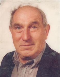 Photo 198677