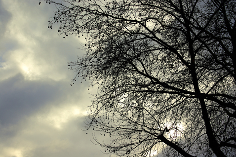 Photo 201366