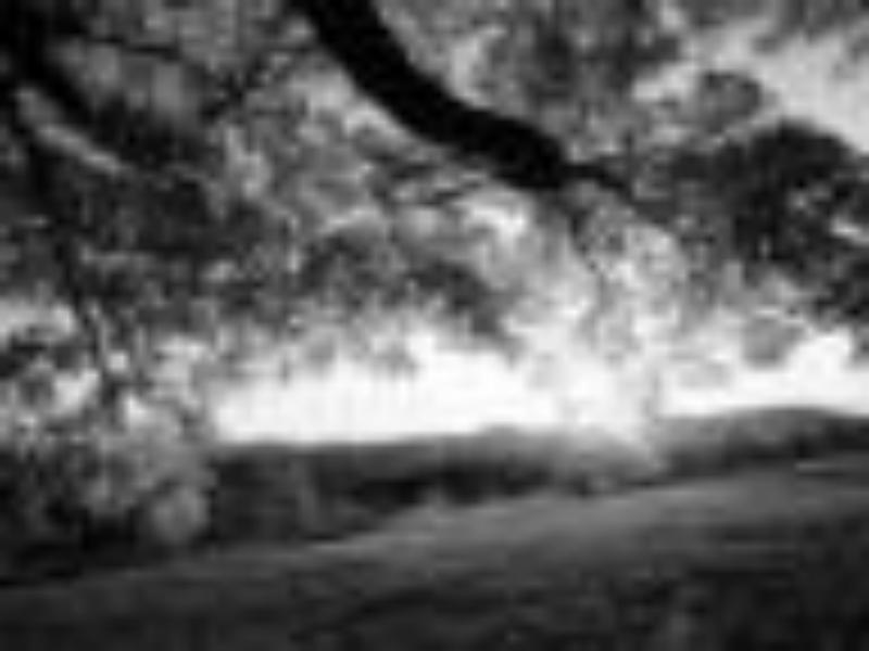 Photo 210858