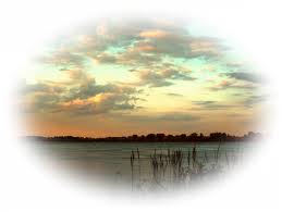Photo 239974