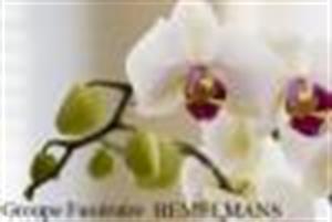 Photo 247173