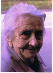 Photo 247474