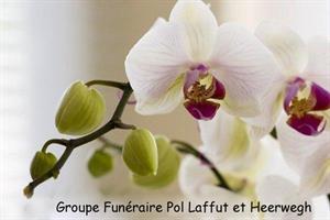 Photo 260017