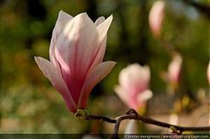 Photo 283879