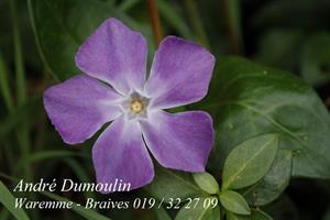 Photo 284019