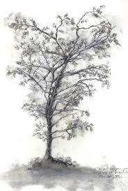 Photo 287375