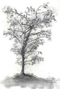 Photo 287375