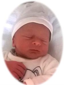 Photo 309713