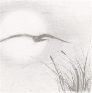 Photo 314263