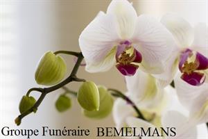 Photo 315782