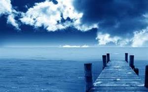 Photo 322398