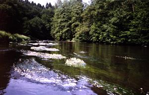 Photo 367532