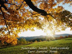 Photo 400390