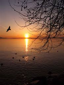 Photo 456692
