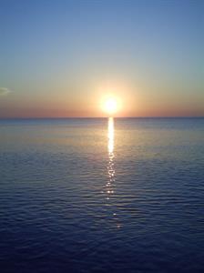 Photo 487824