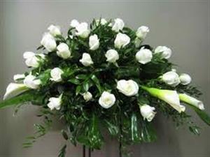 Photo 496792