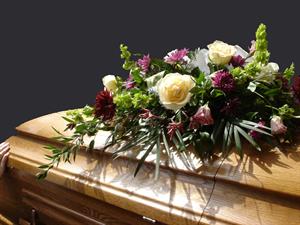 Photo 497699