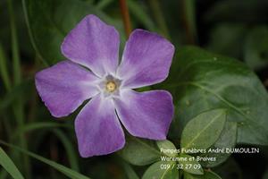 Photo 498716