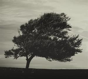 Photo 643158