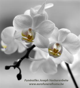Photo 676252