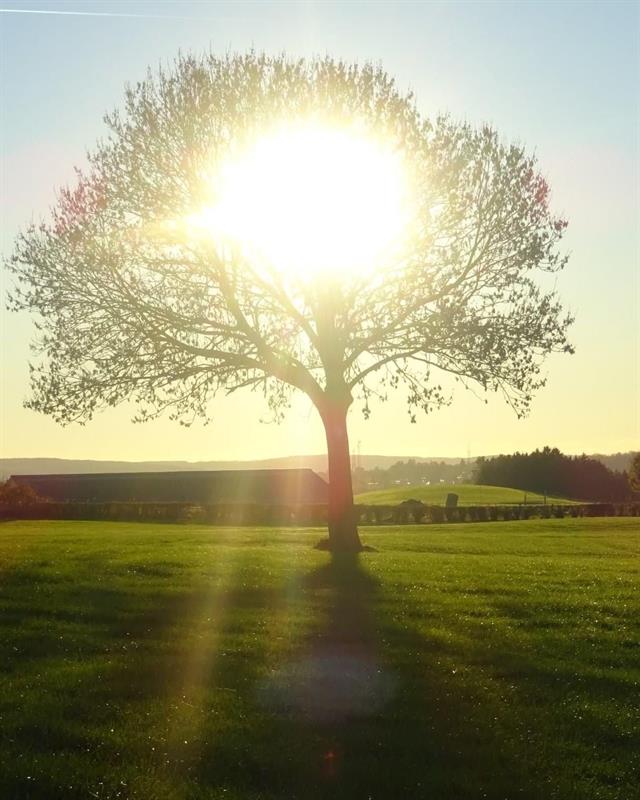 Photo 728233