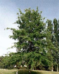 Photo 735691