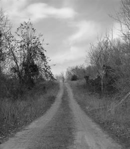 Photo 739916