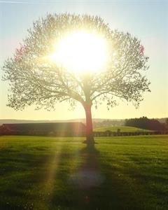 Photo 769988