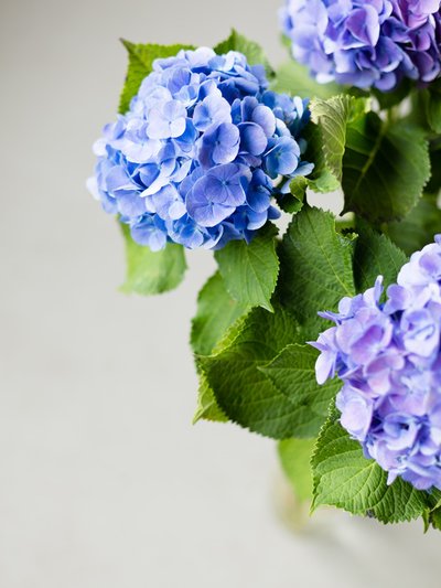 Photo 773812