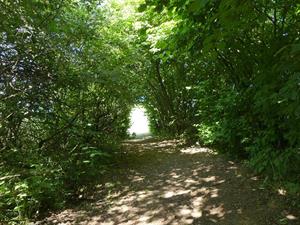Photo 780677