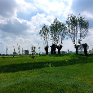 Photo 822442