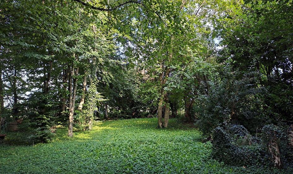 Photo 839979