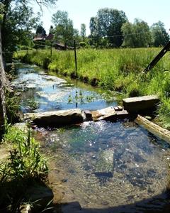 Photo 879561
