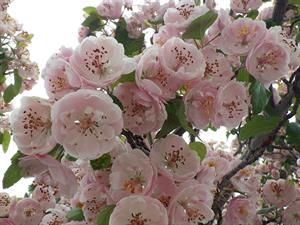 Photo 898317
