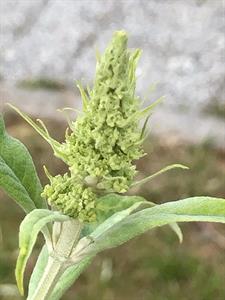 Photo 898364
