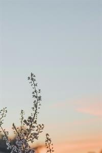 Photo 949789