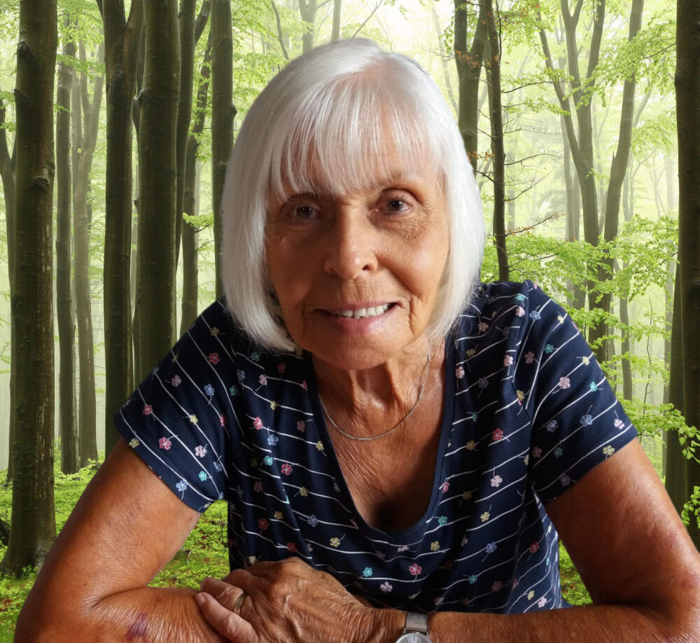 Photo 956988