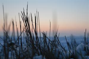 Photo 962957