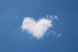 Photo 964071