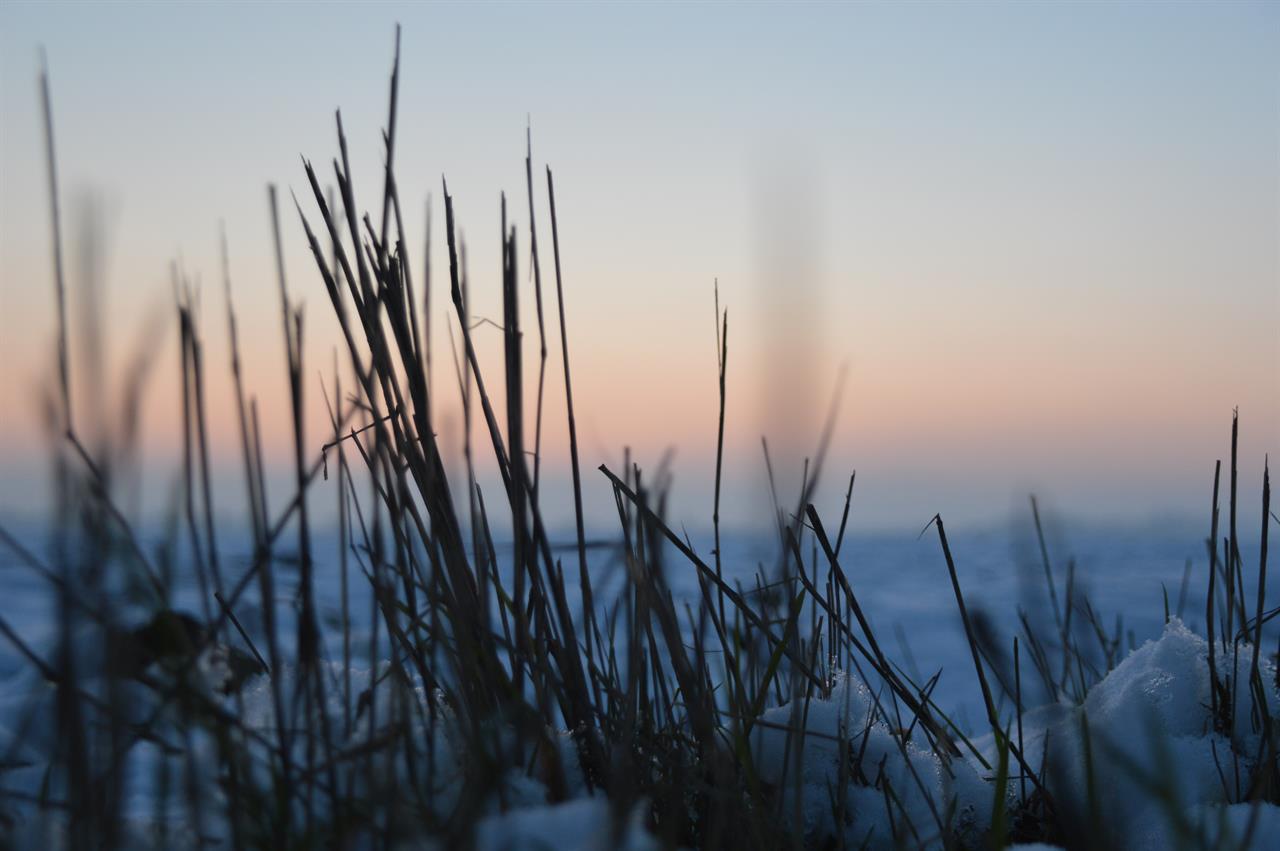Photo 964787