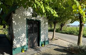 Photo 968933